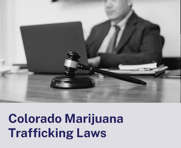 Colorado Marijuana Trafficking Laws