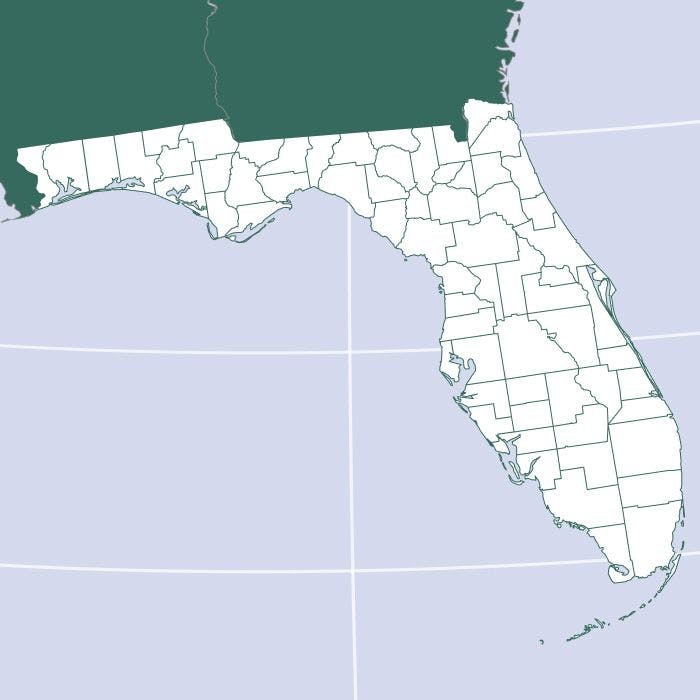 Florida Cannabis County Info