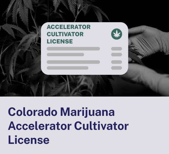 Colorado Marijuana Accelerator Cultivator License