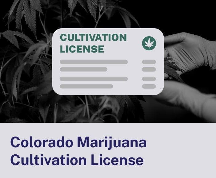 Colorado Marijuana Cultivation License