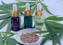 STATE Active Medical Marijuana Patients in 2025.png